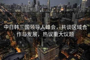 中日韓三國領(lǐng)導(dǎo)人峰會，共談區(qū)域合作與發(fā)展，熱議重大議題