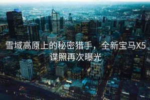 雪域高原上的秘密獵手，全新寶馬X5諜照再次曝光