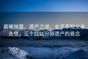 晨曦微露，遺產(chǎn)之謎，女子不知父親去世，三個(gè)姑姑分掉遺產(chǎn)的懸念