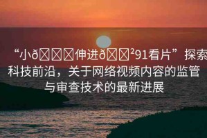 “小??伸進(jìn)??91看片”探索科技前沿，關(guān)于網(wǎng)絡(luò)視頻內(nèi)容的監(jiān)管與審查技術(shù)的最新進(jìn)展