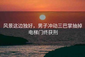 風(fēng)景這邊獨好，男子沖動三巴掌抽掉電梯門終獲刑