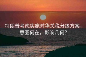 特朗普考慮實(shí)施對(duì)華關(guān)稅分級(jí)方案，意圖何在，影響幾何？