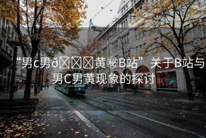 “男c男??黃秘B站”關(guān)于B站與男C男黃現(xiàn)象的探討