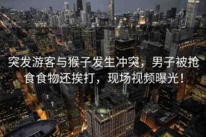 突發(fā)游客與猴子發(fā)生沖突，男子被搶食食物還挨打，現(xiàn)場(chǎng)視頻曝光！