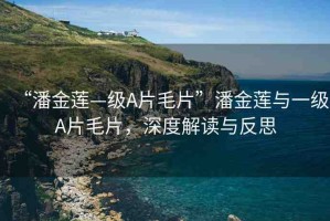 “潘金蓮—級A片毛片”潘金蓮與一級A片毛片，深度解讀與反思
