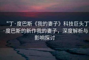“丁·度巴斯《我的妻子》科技巨頭丁·度巴斯的新作我的妻子，深度解析與影響探討