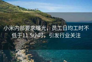 小米內(nèi)部要求曝光，員工日均工時(shí)不低于11.5小時(shí)，引發(fā)行業(yè)關(guān)注