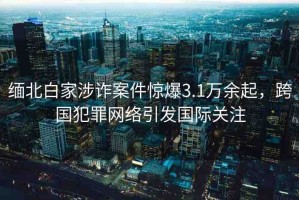 緬北白家涉詐案件驚爆3.1萬余起，跨國犯罪網絡引發(fā)國際關注