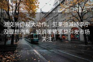 港交所驚現(xiàn)大動作，貝萊德減持李寧及理想汽車，投資策略調(diào)整引發(fā)市場關(guān)注