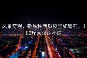 風(fēng)景奇觀，新品種西瓜皮堅(jiān)如磐石，180斤大漢踩不爛