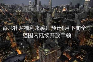 育兒補貼福利來襲！預計8月下旬全國范圍內陸續(xù)開放申領