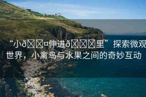 “小??伸進(jìn)??里”探索微觀世界，小禽鳥與水果之間的奇妙互動(dòng)