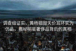 調(diào)查組證實，黃楊鈿甜天價耳環(huán)實為仿品，揭秘明星奢侈品背后的真相