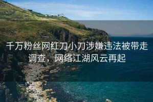 千萬粉絲網(wǎng)紅刀小刀涉嫌違法被帶走調(diào)查，網(wǎng)絡(luò)江湖風(fēng)云再起