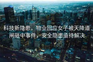 科技新隱患，物業(yè)回應(yīng)女子被天降道閘砸中事件，安全隱患亟待解決