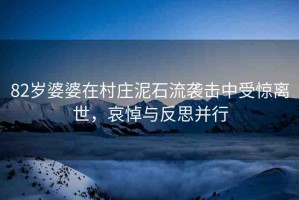 82歲婆婆在村莊泥石流襲擊中受驚離世，哀悼與反思并行