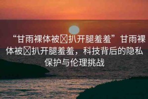 “甘雨裸體被?扒開腿羞羞”甘雨裸體被?扒開腿羞羞，科技背后的隱私保護與倫理挑戰(zhàn)