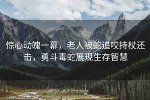驚心動(dòng)魄一幕，老人被蛇追咬持杖還擊，勇斗毒蛇展現(xiàn)生存智慧