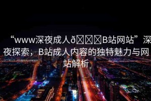 “www深夜成人??B站網(wǎng)站”深夜探索，B站成人內(nèi)容的獨(dú)特魅力與網(wǎng)站解析