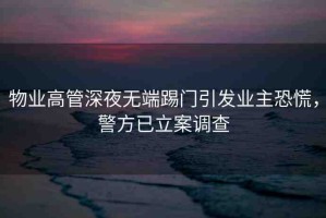 物業(yè)高管深夜無端踢門引發(fā)業(yè)主恐慌，警方已立案調(diào)查