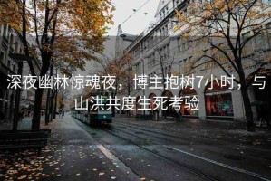 深夜幽林驚魂夜，博主抱樹(shù)7小時(shí)，與山洪共度生死考驗(yàn)