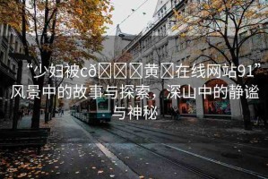 “少婦被c??黃?在線網(wǎng)站91”風(fēng)景中的故事與探索，深山中的靜謐與神秘