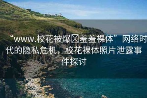 “www.?；ū槐?羞羞裸體”網(wǎng)絡(luò)時(shí)代的隱私危機(jī)，校花裸體照片泄露事件探討