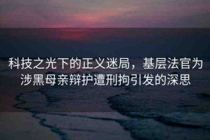 科技之光下的正義迷局，基層法官為涉黑母親辯護(hù)遭刑拘引發(fā)的深思