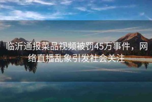 臨沂通報菜品視頻被罰45萬事件，網(wǎng)絡直播亂象引發(fā)社會關注