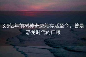 3.6億年前樹(shù)種奇跡般存活至今，曾是恐龍時(shí)代的口糧