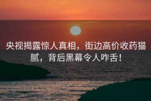 央視揭露驚人真相，街邊高價收藥貓膩，背后黑幕令人咋舌！