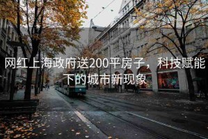 網(wǎng)紅上海政府送200平房子，科技賦能下的城市新現(xiàn)象
