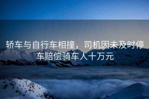 轎車(chē)與自行車(chē)相撞，司機(jī)因未及時(shí)停車(chē)賠償騎車(chē)人十萬(wàn)元