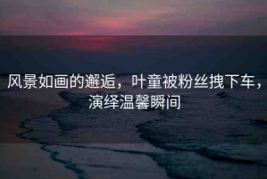 風景如畫的邂逅，葉童被粉絲拽下車，演繹溫馨瞬間