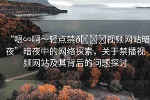 “嗯∽啊～輕點(diǎn)禁??視頻網(wǎng)站暗夜”暗夜中的網(wǎng)絡(luò)探索，關(guān)于禁播視頻網(wǎng)站及其背后的問(wèn)題探討