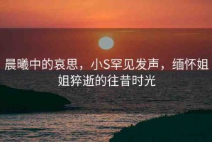 晨曦中的哀思，小S罕見發(fā)聲，緬懷姐姐猝逝的往昔時(shí)光