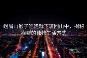 峨眉山猴子吃飽就下班回山中，揭秘猴群的獨(dú)特生活方式