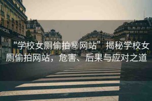 “學(xué)校女廁偷拍秘網(wǎng)站”揭秘學(xué)校女廁偷拍網(wǎng)站，危害、后果與應(yīng)對(duì)之道