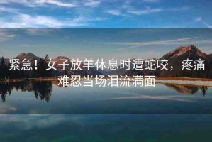 緊急！女子放羊休息時(shí)遭蛇咬，疼痛難忍當(dāng)場淚流滿面
