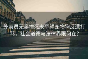 外賣員無辜撞死未牽繩寵物狗反遭打罵，社會道德與法律界限何在？