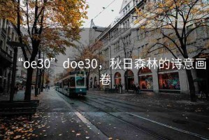“oe30”doe30，秋日森林的詩意畫卷