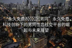 “永久免費??男同”永久免費，科技創(chuàng)新下的男同性戀社交平臺的崛起與未來展望