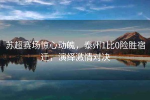 蘇超賽場(chǎng)驚心動(dòng)魄，泰州1比0險(xiǎn)勝宿遷，演繹激情對(duì)決