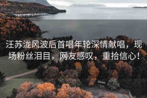 汪蘇瀧風(fēng)波后首唱年輪深情獻(xiàn)唱，現(xiàn)場(chǎng)粉絲淚目，網(wǎng)友感嘆，重拾信心！