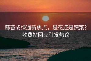 蒜苔成綠通新焦點(diǎn)，是花還是蔬菜？收費(fèi)站回應(yīng)引發(fā)熱議