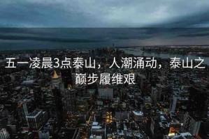 五一凌晨3點泰山，人潮涌動，泰山之巔步履維艱