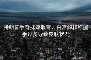特朗普手背抹遮瑕膏，白宮解釋稱握手過(guò)多導(dǎo)致皮膚狀況