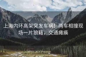 上海內(nèi)環(huán)高架突發(fā)車(chē)禍！兩車(chē)相撞現(xiàn)場(chǎng)一片狼藉，交通癱瘓