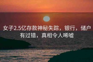 女子2.5億存款神秘失蹤，銀行，儲(chǔ)戶有過錯(cuò)，真相令人唏噓