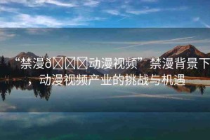 “禁漫??動(dòng)漫視頻”禁漫背景下，動(dòng)漫視頻產(chǎn)業(yè)的挑戰(zhàn)與機(jī)遇